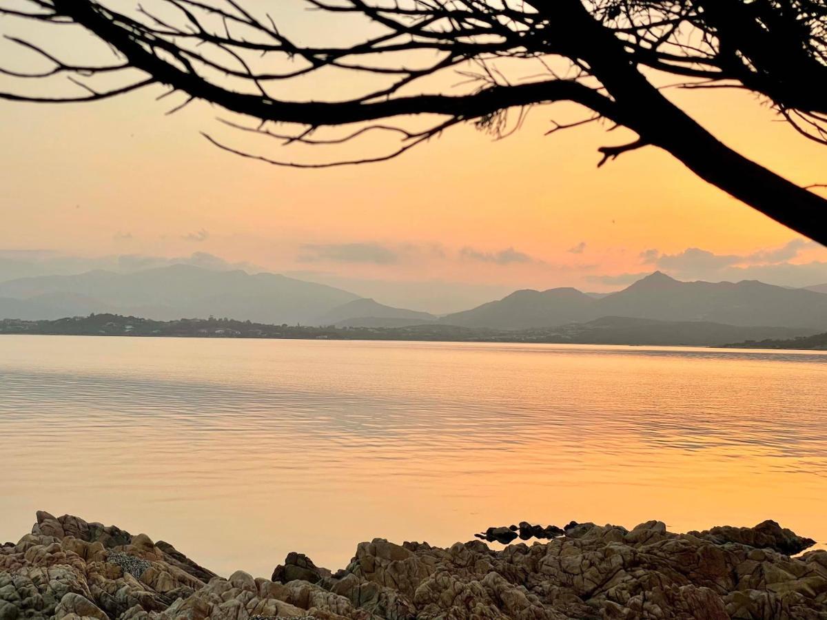San Teodoro Punta Est Curatissimo Bilocale Apartment Capo Coda Cavallo Bagian luar foto