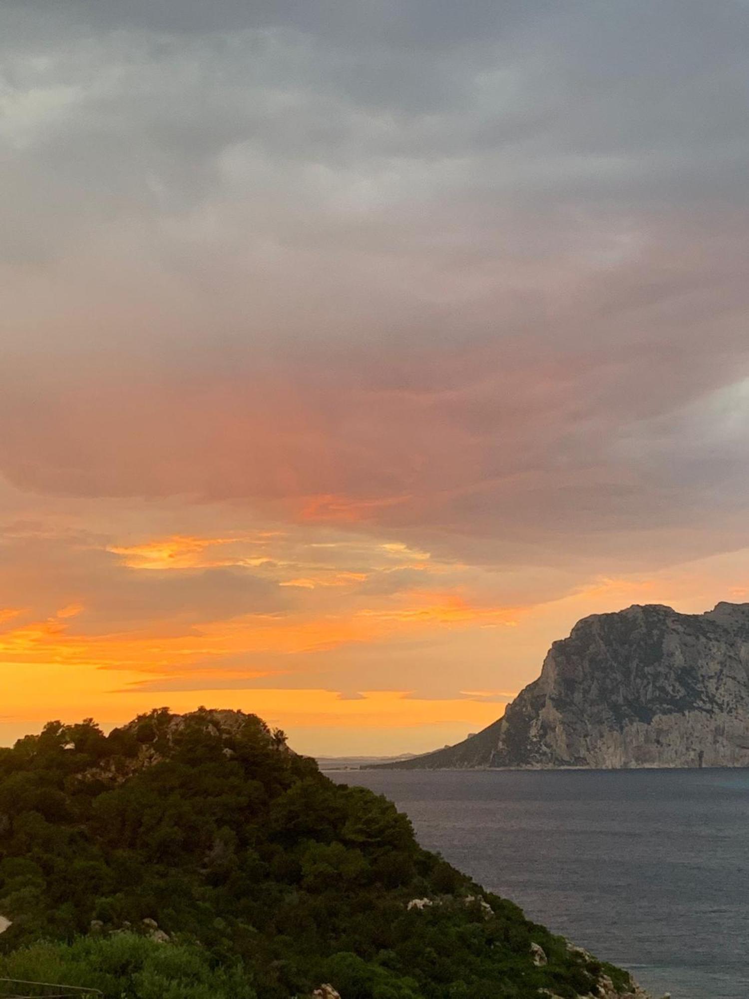 San Teodoro Punta Est Curatissimo Bilocale Apartment Capo Coda Cavallo Bagian luar foto